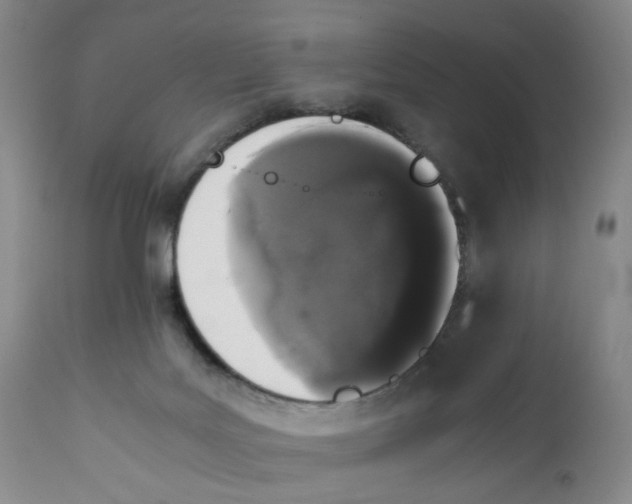 X0000112040027200908241613