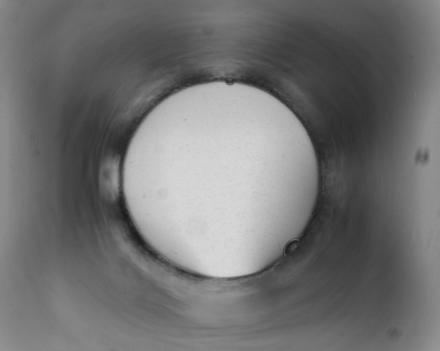 X0000112040028200908241613