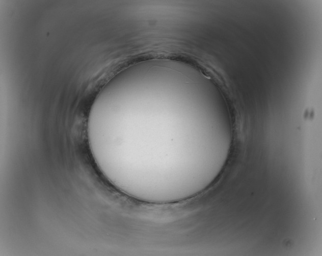X0000112040029200908241613