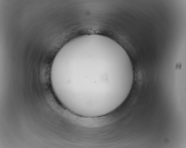 X0000112040030200908241613