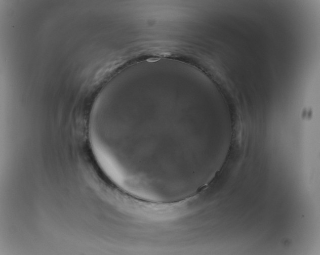 X0000112040031200908241613