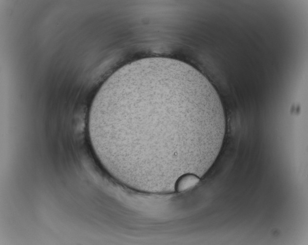 X0000112040032200908241613