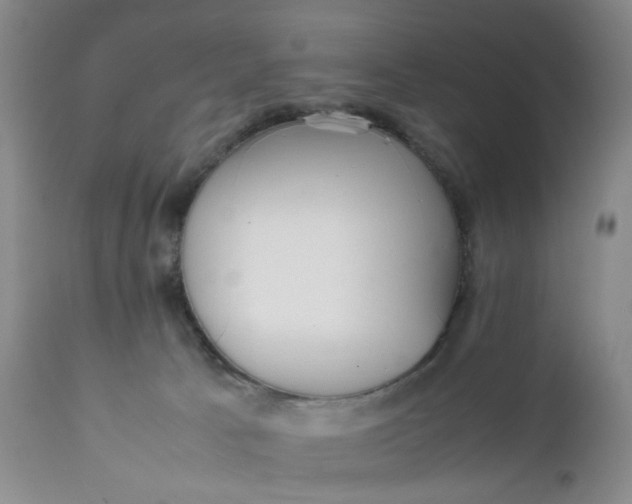 X0000112040033200908241613