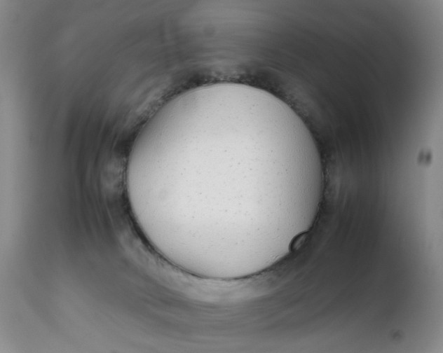 X0000112040034200908241613
