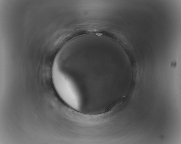 X0000112040035200908241613