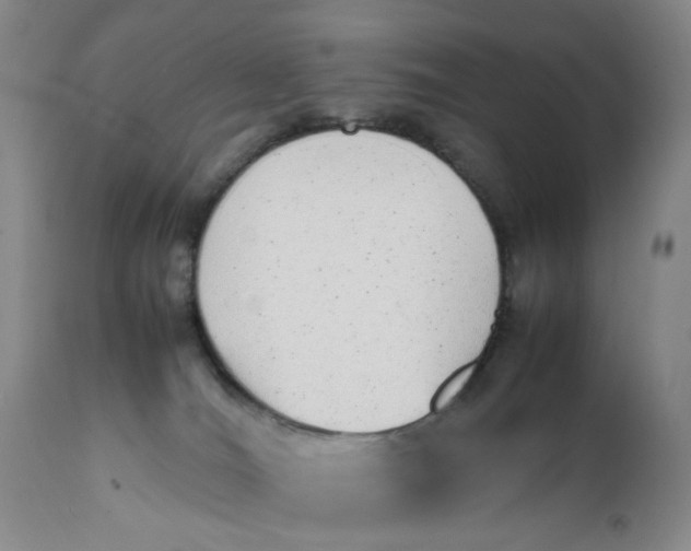 X0000112040036200908241613