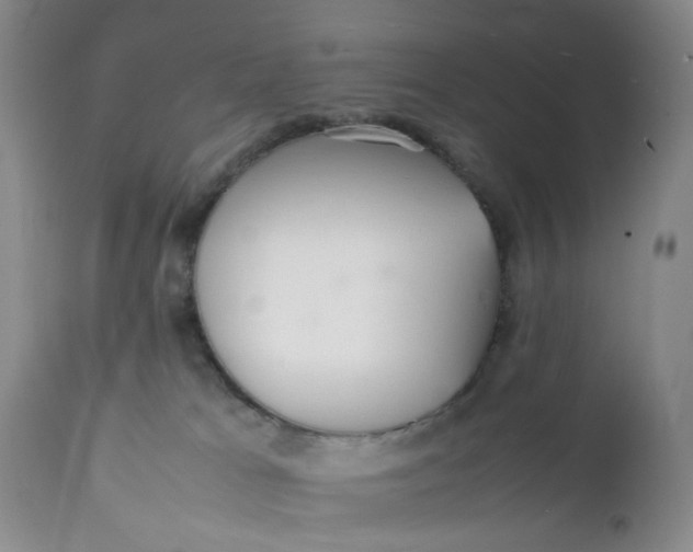 X0000112040037200908241613