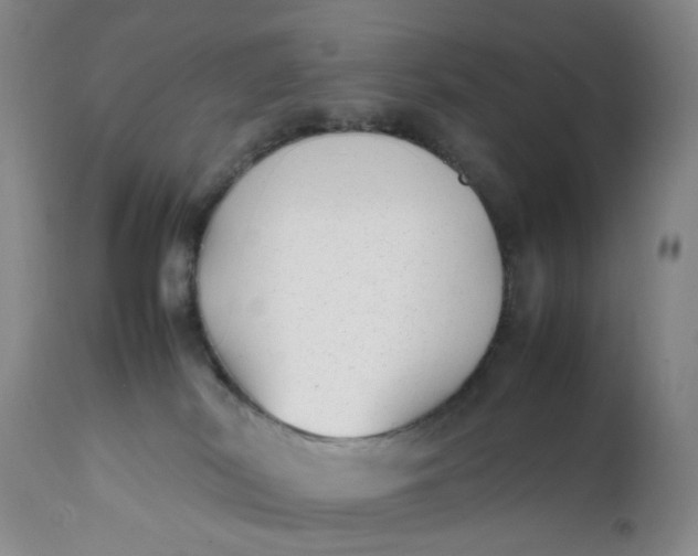 X0000112040038200908241613