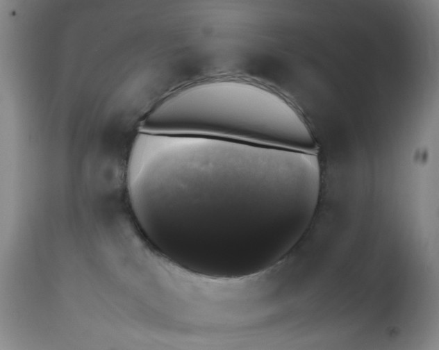 X0000112040039200908241613