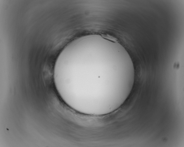 X0000112040040200908241613