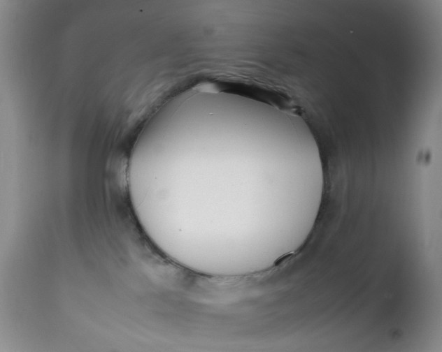 X0000112040041200908241613