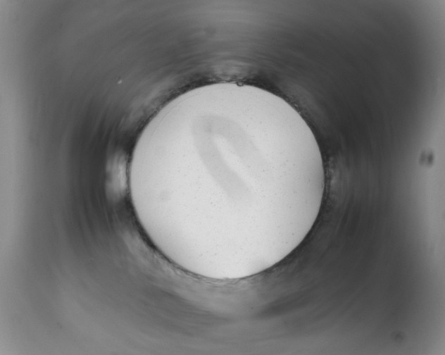 X0000112040042200908241613