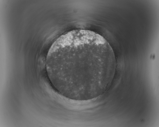 X0000112040043200908241613