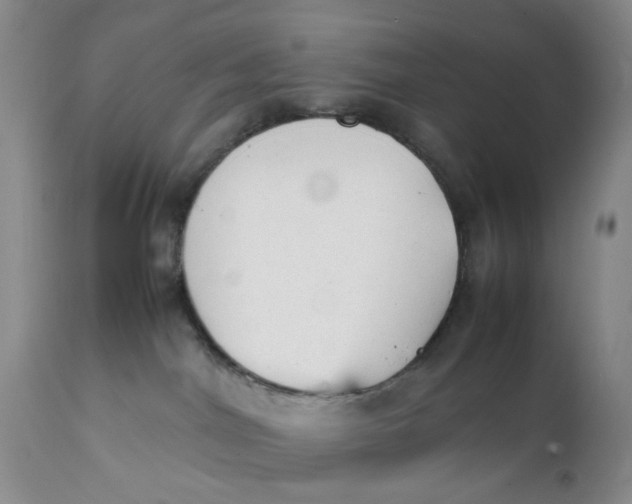 X0000112040044200908241613