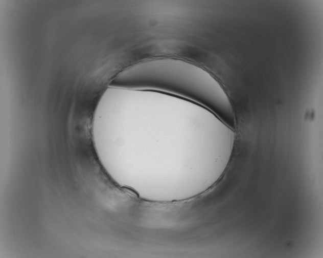 X0000112040045200908241613