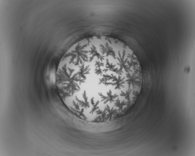 X0000112040046200908241613