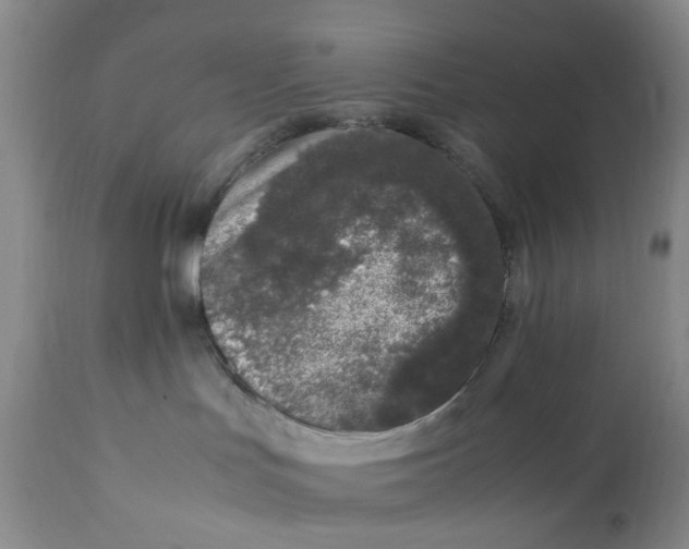 X0000112040047200908241613