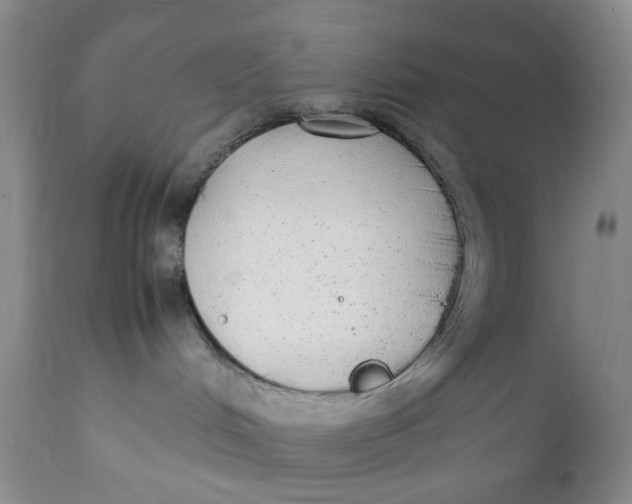 X0000112040048200908241613