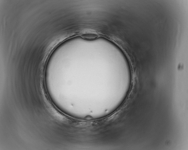 X0000112040049200908241612