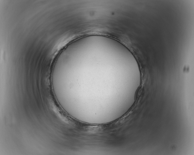 X0000112040050200908241612