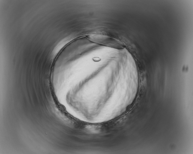 X0000112040051200908241612