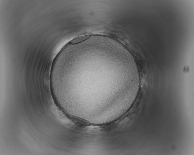 X0000112040052200908241612