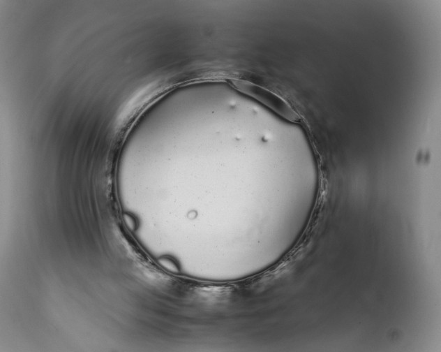X0000112040053200908241612