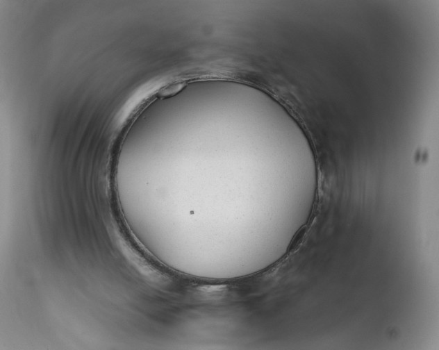X0000112040054200908241612