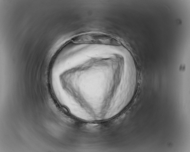 X0000112040055200908241612