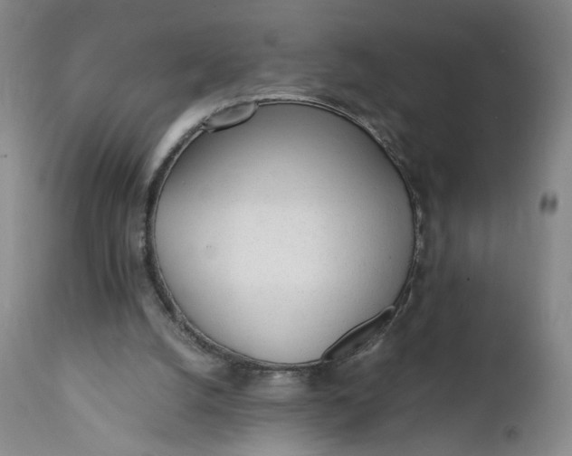 X0000112040056200908241612