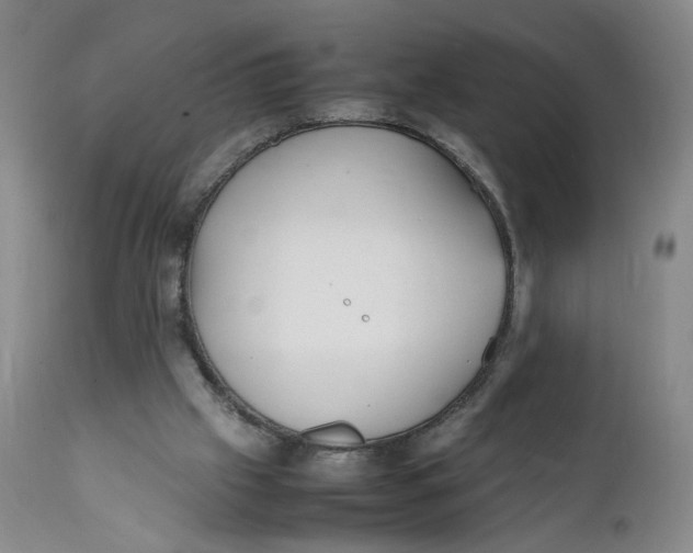 X0000112040057200908241612