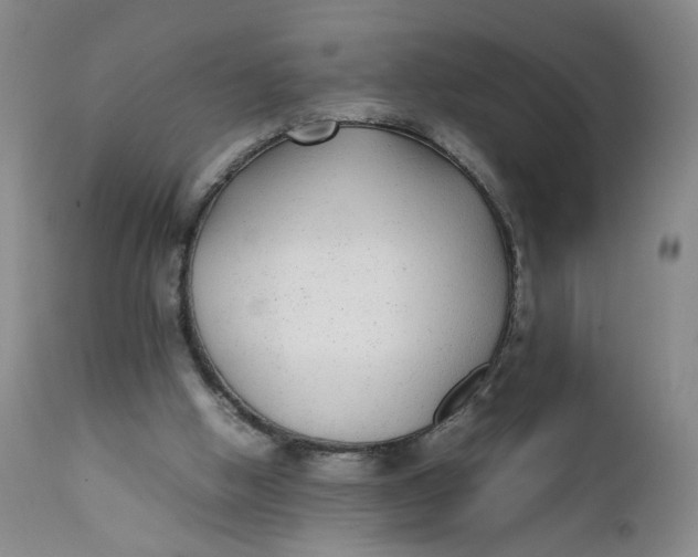 X0000112040058200908241612