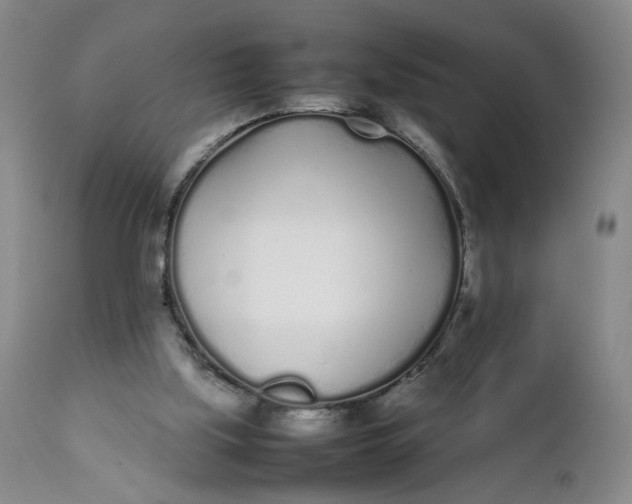 X0000112040059200908241612