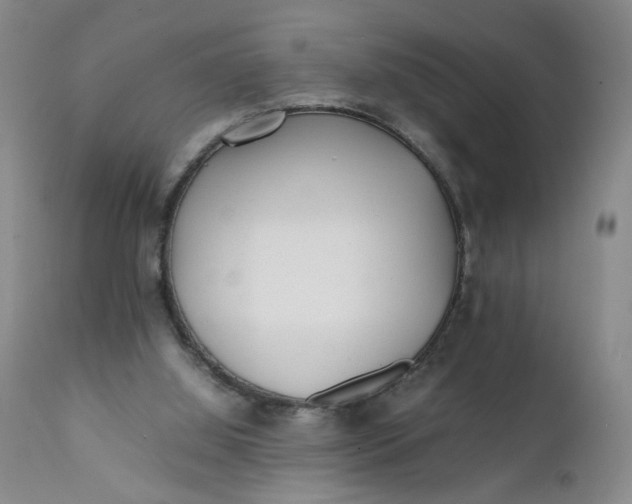 X0000112040060200908241612