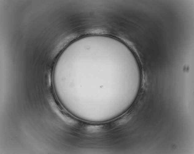 X0000112040061200908241612