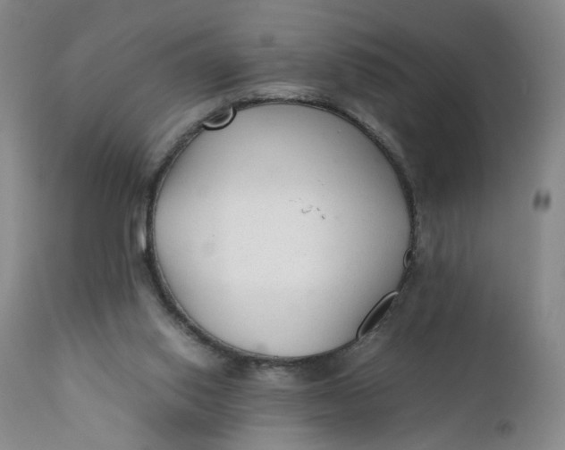 X0000112040062200908241612