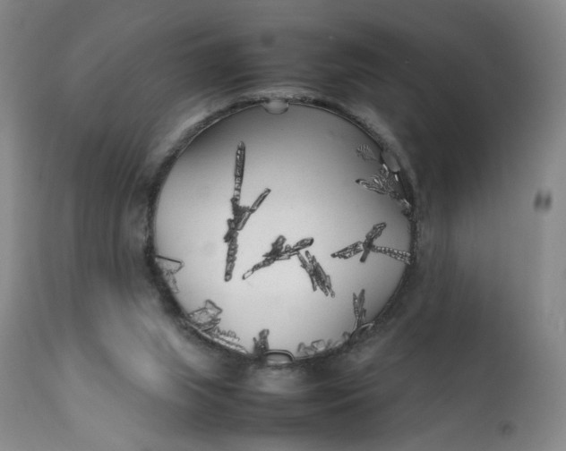 X0000112040063200908241612