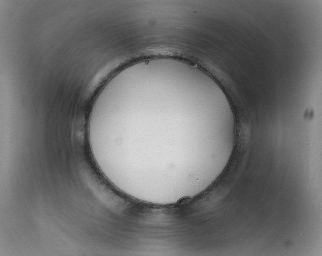 X0000112040064200908241612