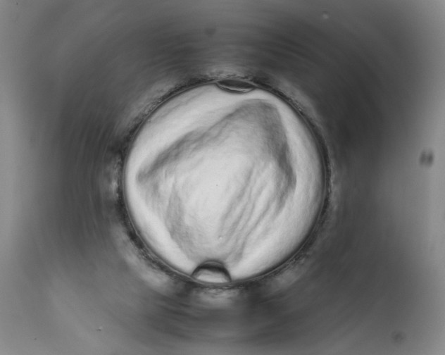 X0000112040065200908241612