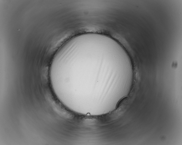 X0000112040066200908241612