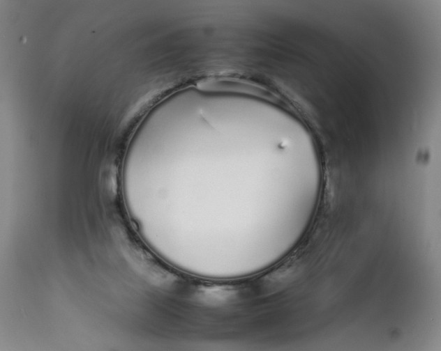 X0000112040067200908241612