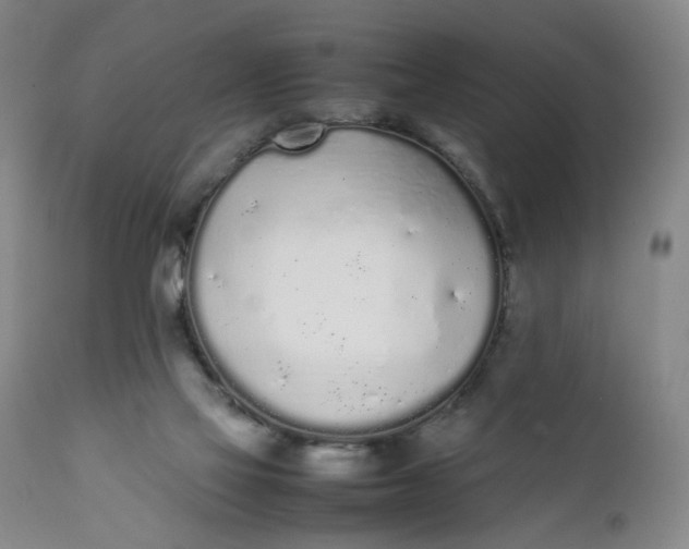 X0000112040069200908241613