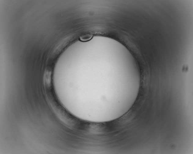 X0000112040070200908241613