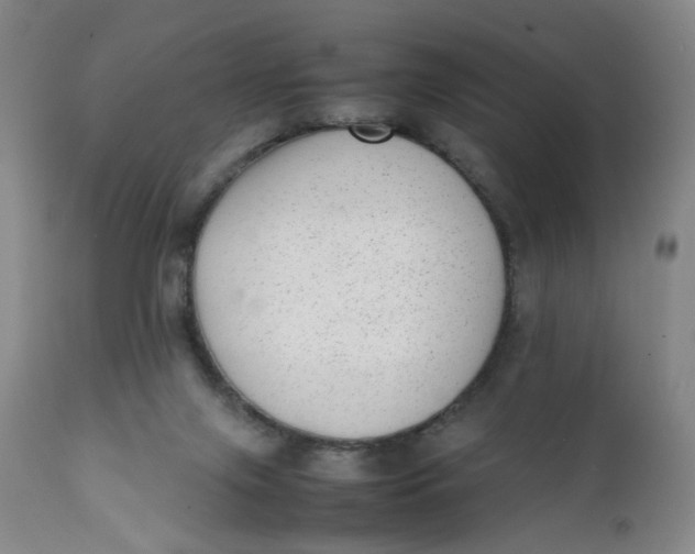 X0000112040071200908241613