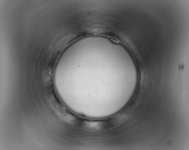 X0000112040073200908241613