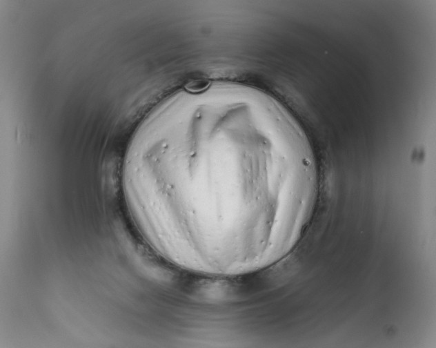 X0000112040074200908241613
