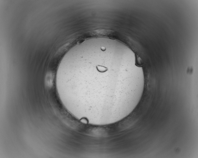 X0000112040075200908241613