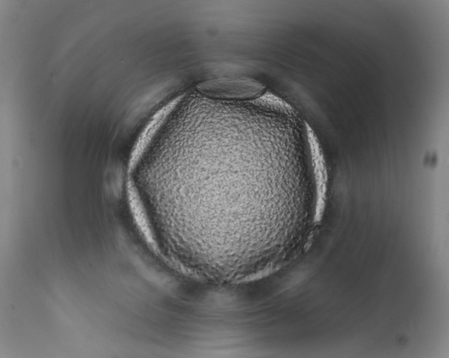 X0000112040076200908241613