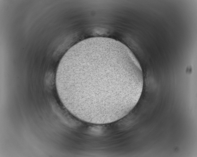 X0000112040079200908241613