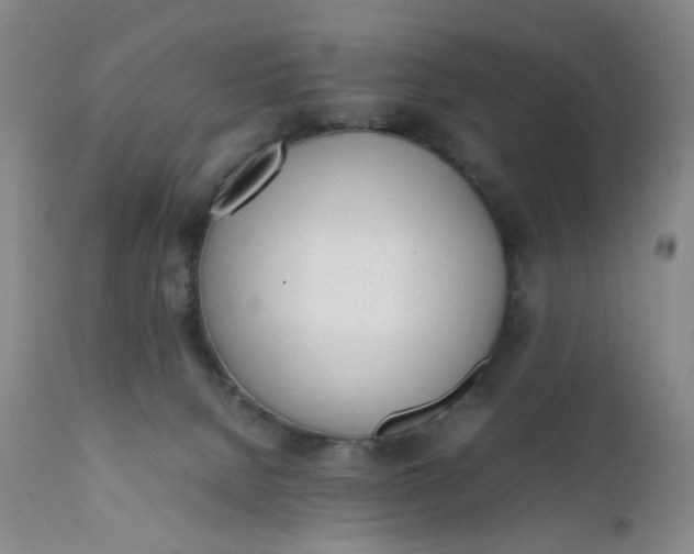 X0000112040080200908241613